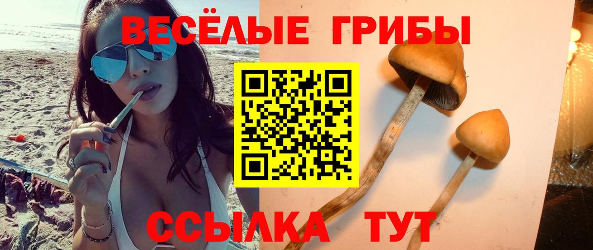 Псилоцибиновые грибы прущие грибы Лесозаводск