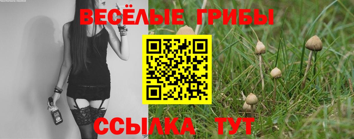 Лесозаводск  Псилоцибиновые грибы Psilocybe  Вход с VPN 